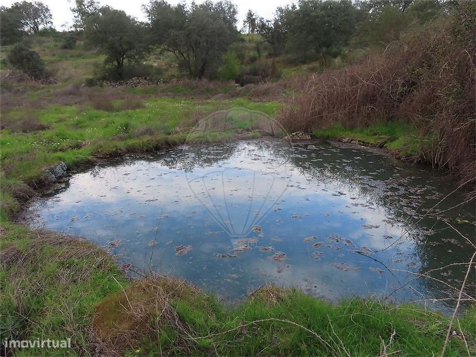 Quinta  para venda