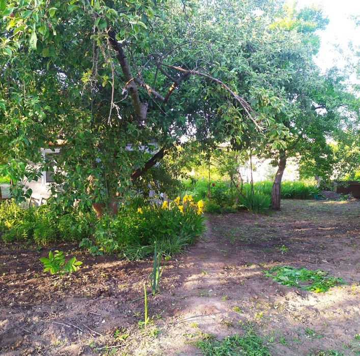 Велика земельна ділянка,дача з будиночком