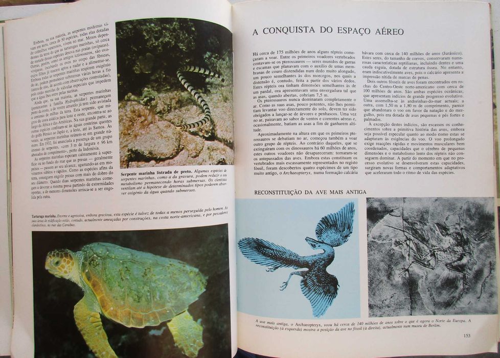 Segredos do Mar - - - - - Enciclopédia