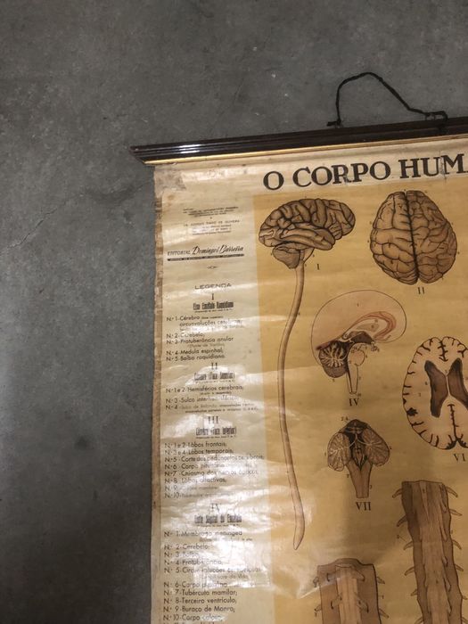 Mapa em tela do corpo humano antigo