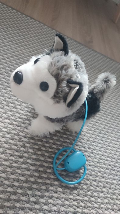 Interaktywny piesek husky