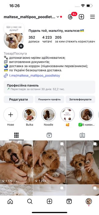 Цуценятко з милим характером
