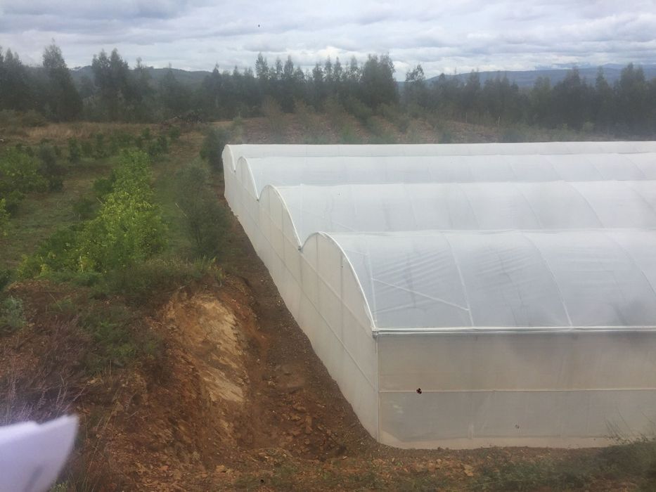 Estufas reta planta usadas