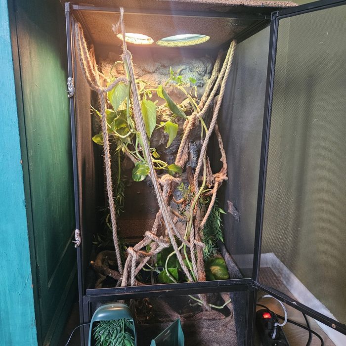 Terarium siadkowe w stanie dobrym