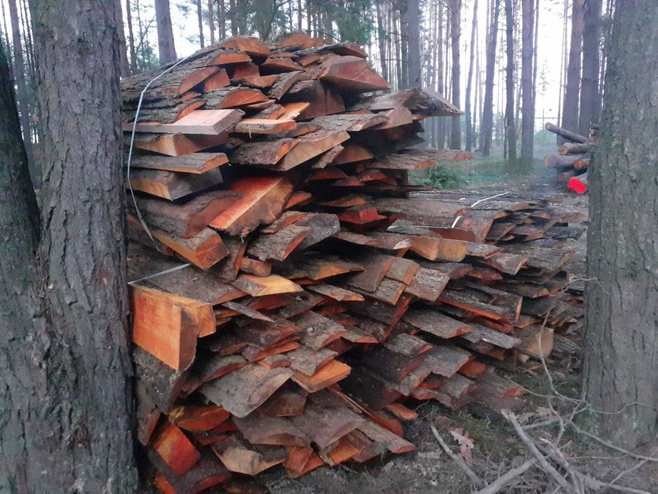 zrzyny olchowe opoły
