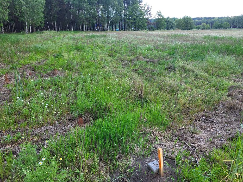 Sprzedam działki budowlane w uroczym otoczeniu lasu - Widok 3