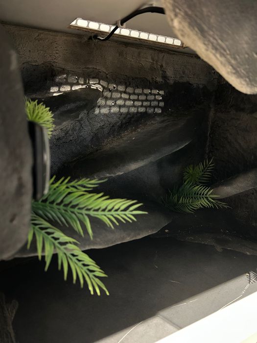 Terrarium dla gekona, z wyposażeniem