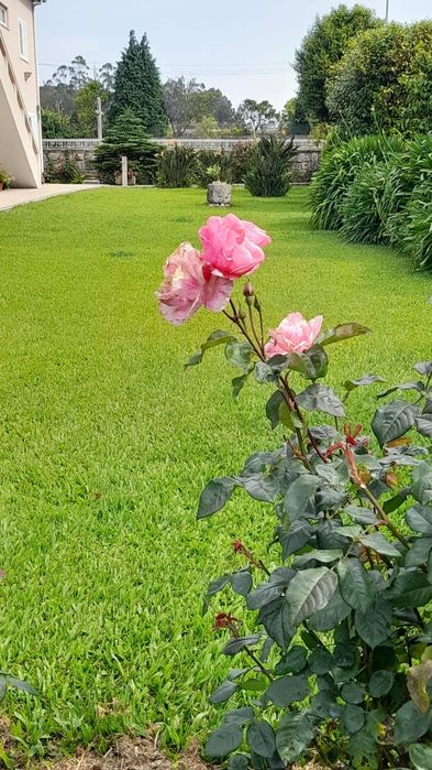 Festeja ao ar livre na Casa Jardim