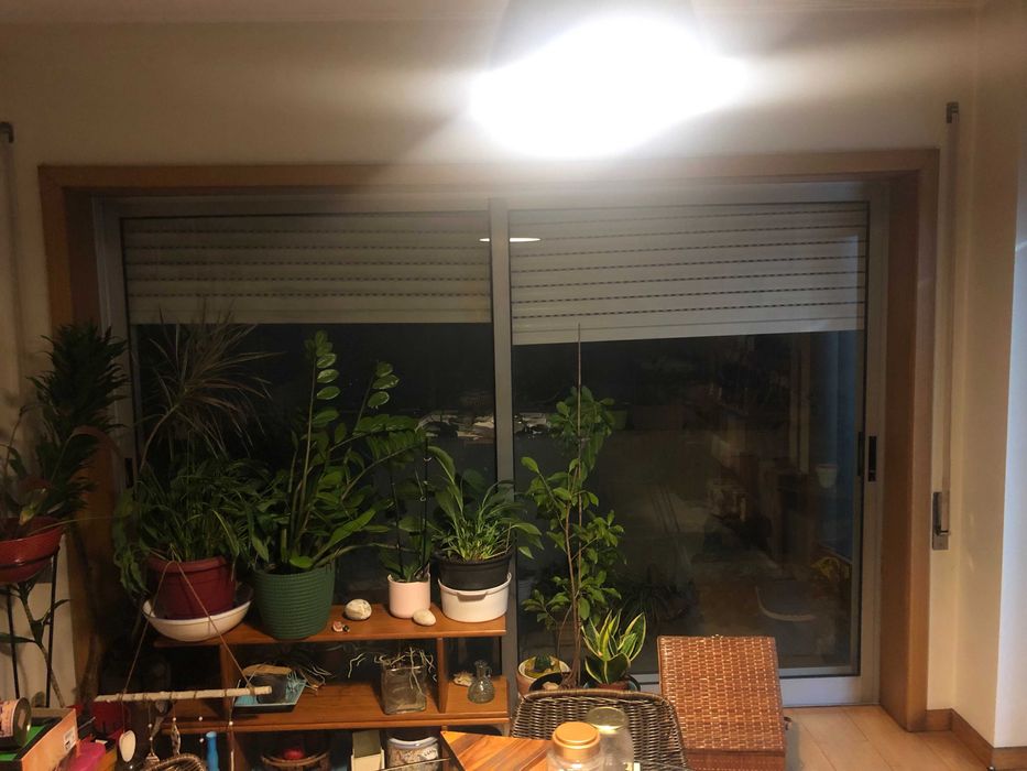 Conjunto de 18 janelas