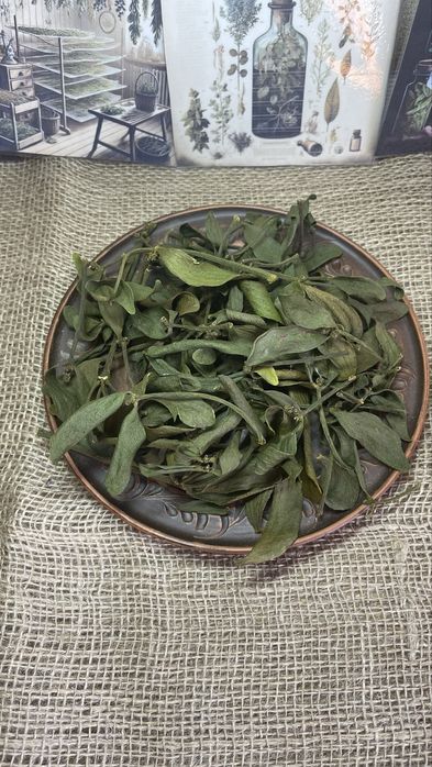 Омела сушена, лікарські трави