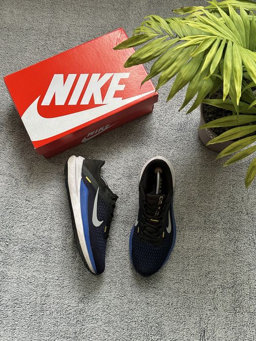 Спортивні кросівки Nike Air [43]