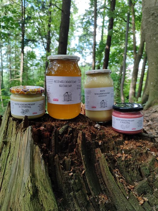 Miód wielokwiatowy z dodatkiem owoców