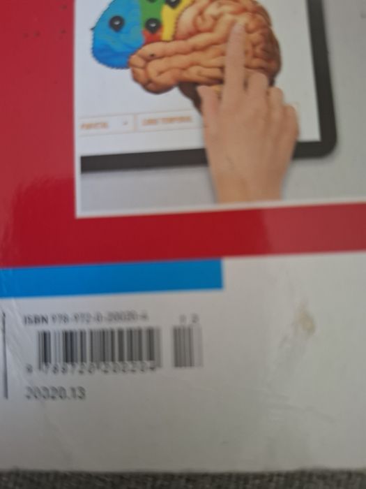 Livro Aberto 6 ano