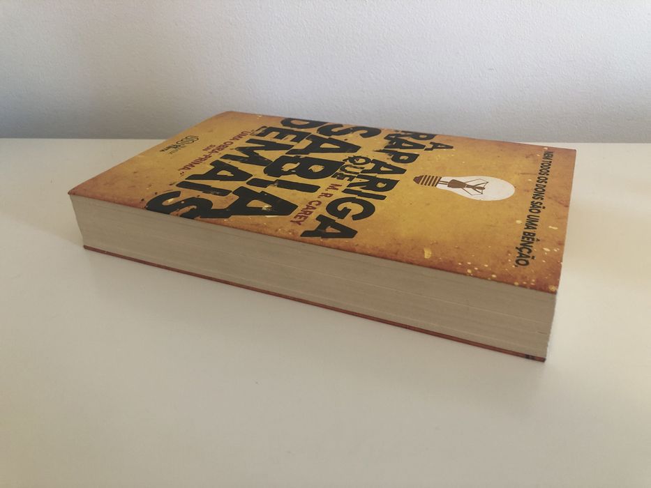 A Rapariga Que Sabia Demais - M. R. Carey