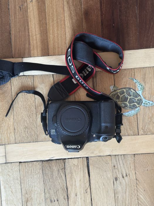 Canon EOS 60D + обʼєктив Helios 44