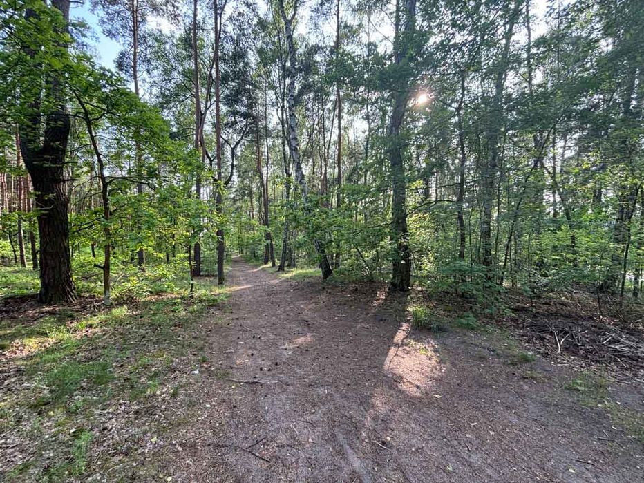 Działka leśna z warunkami zabudowy