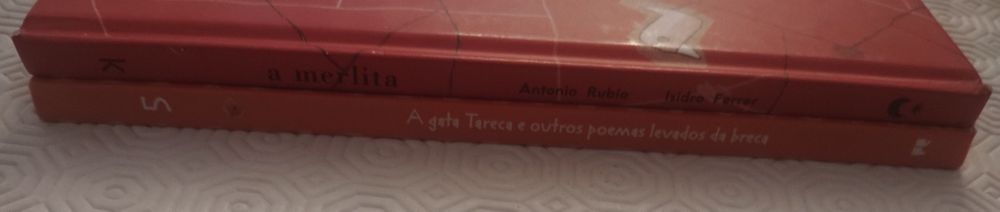 Livros Infantis Novos