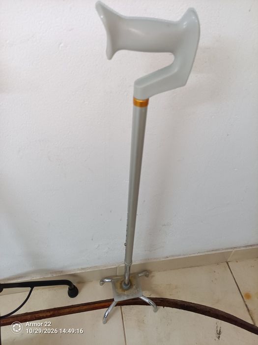 Andarilho/moleta as duas extensíveis