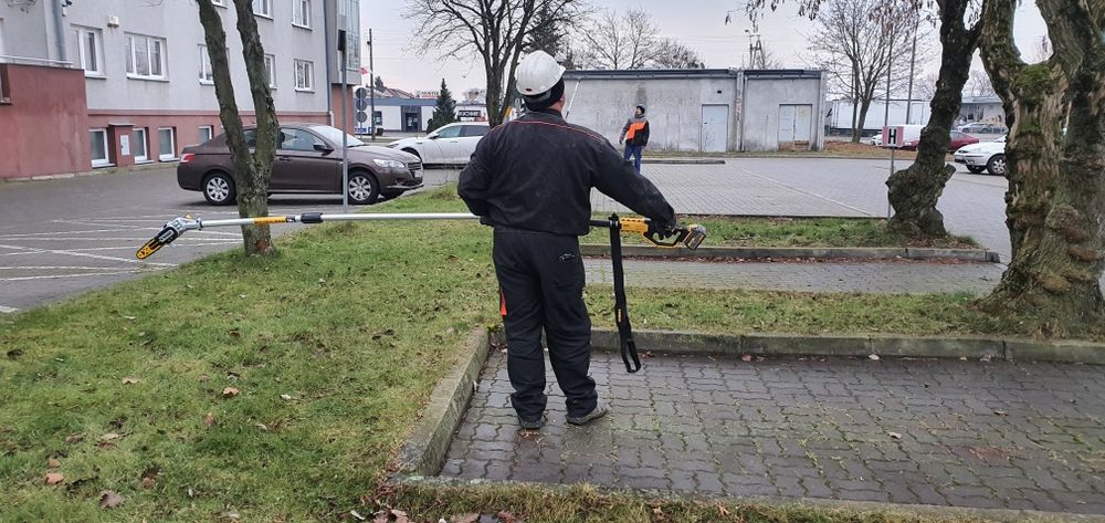 Wycinka drzew, pielęgnacja drzew, korekta drzew