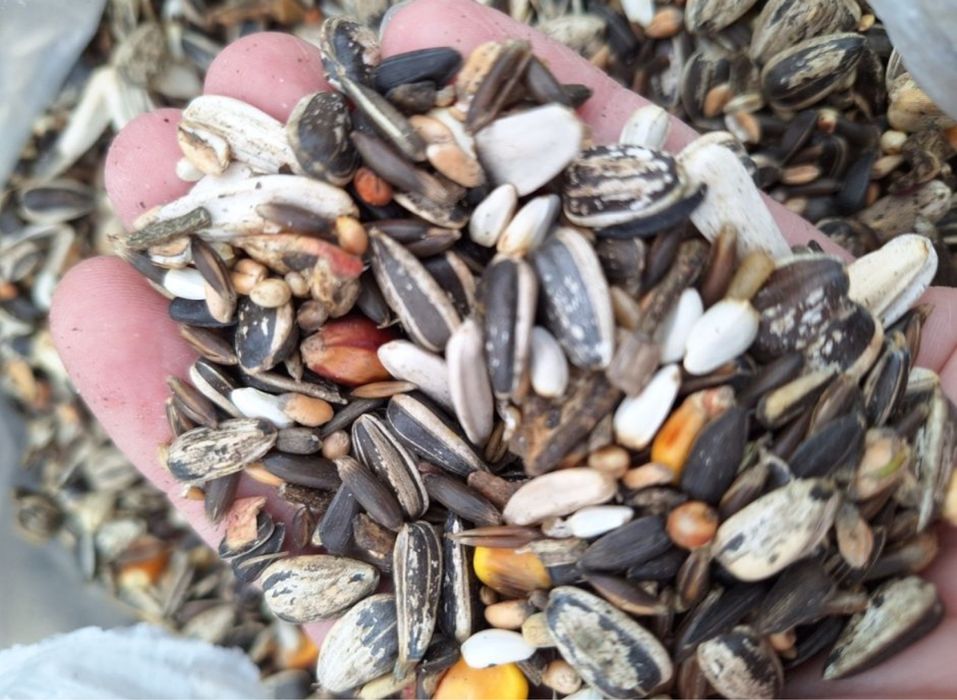 Pokarm dla papug duzych 10 kg