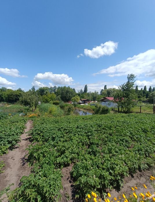 Будинок на березі річки Рось, село Шкарівка, Київської області