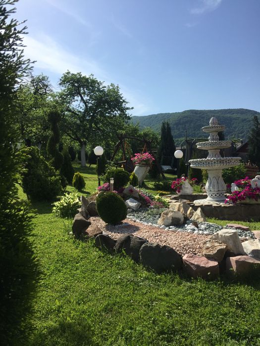 Велятино. Термальні води. Оренда житла.