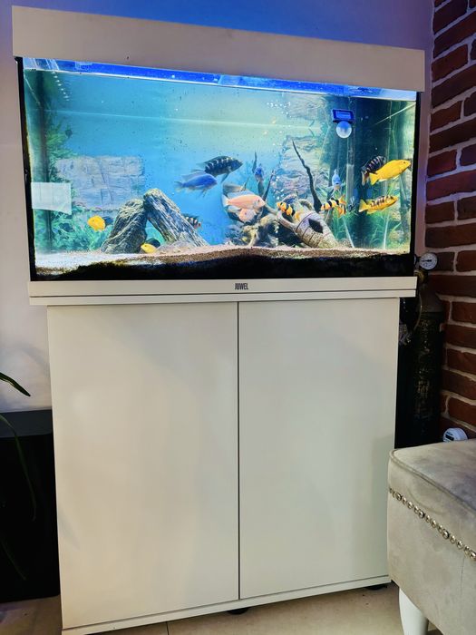 Akwarium kompletne 125