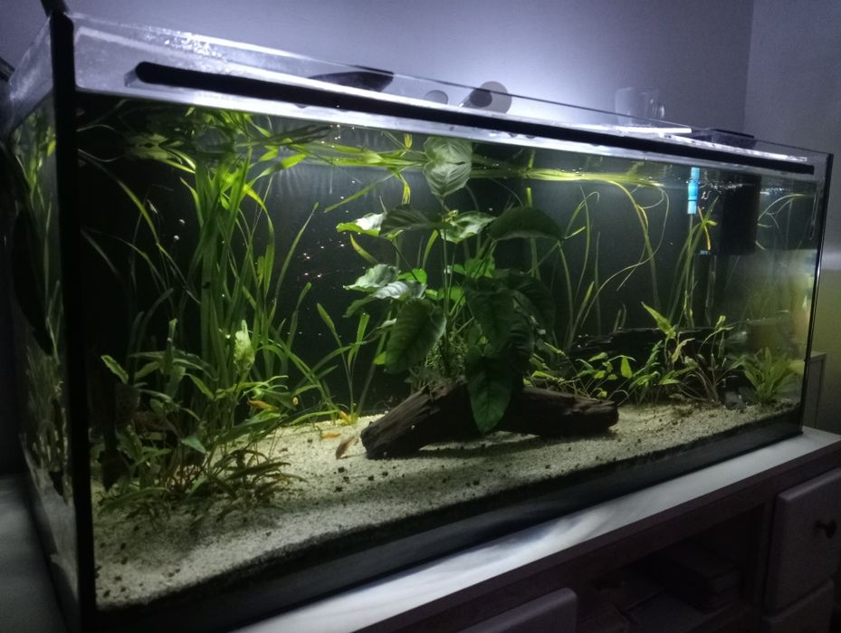 Aquário 300 litros
