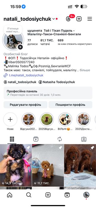 Насичені ред брауни компактні та акуратні