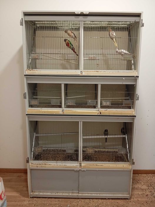 Bateria para passaros