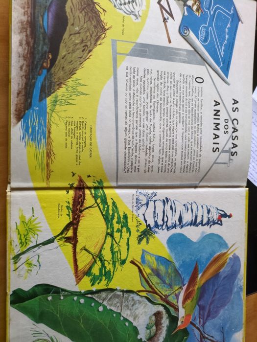 O Mundo dos Animais texto de Marcelle Vérité