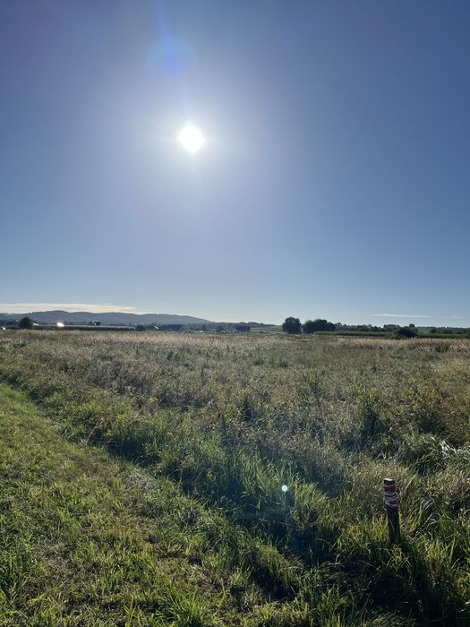 Humniska (woj. Podkarpackie) działka 2631m2