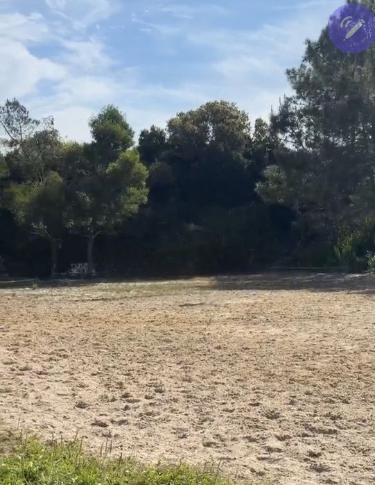 Aluguer de Boxes para cavalos a penso