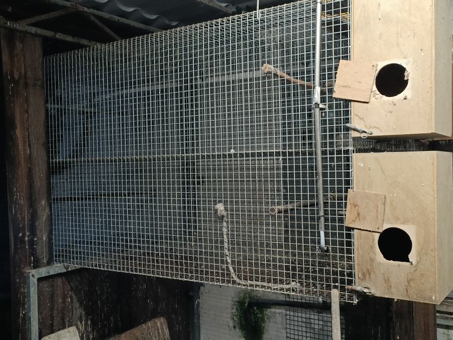 Viveiro/ gaiola pássaros