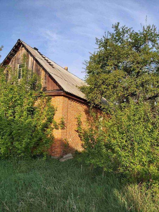 Велика ділянка 25 соток з будинком у с. Дружня, Бородянський район