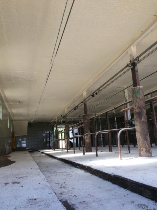 Piana PUR, pianka, celuloza, ocieplanie pianą, wdmuchiwanie celulozy