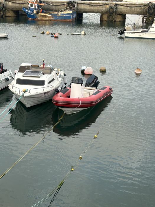 Semi Rigido Narwhal 450