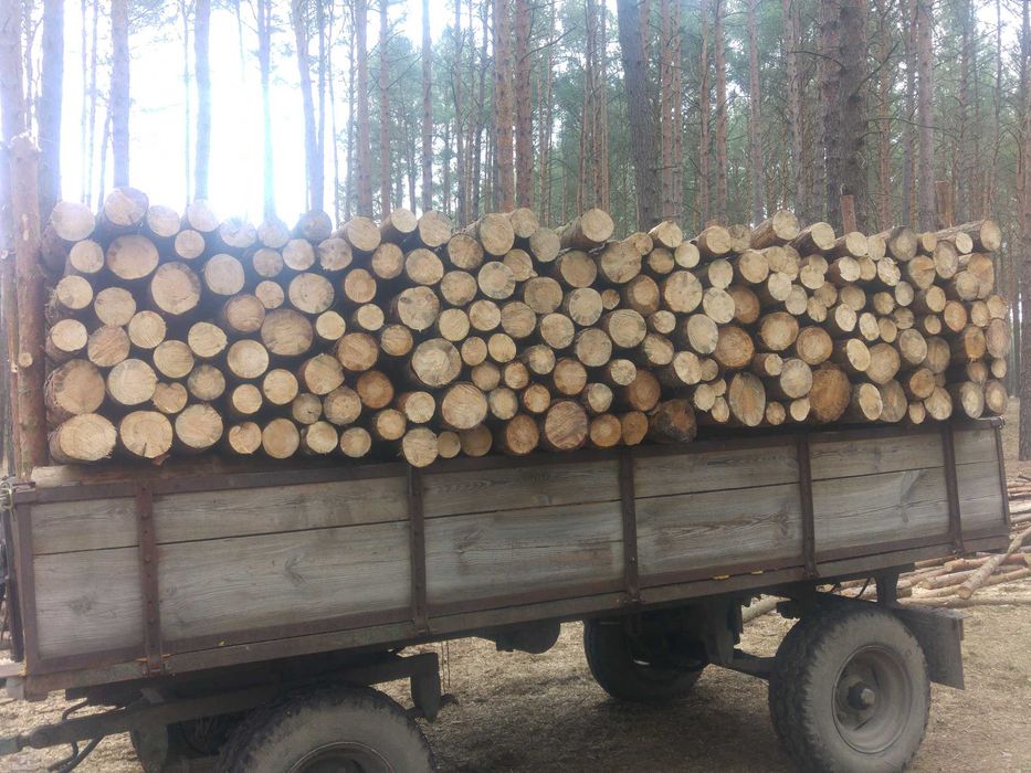 Sprzedam drewno opał