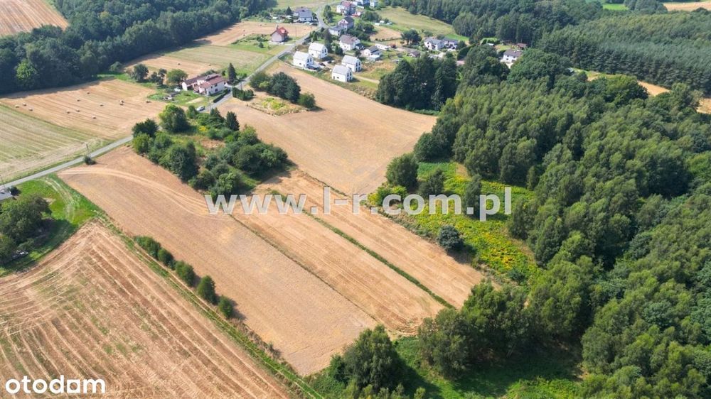 Atrakcyjna Działka W Sąsiedztwie Lasu - Widok 3