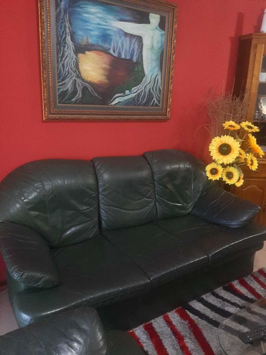 Conjunto Sofás de Couro