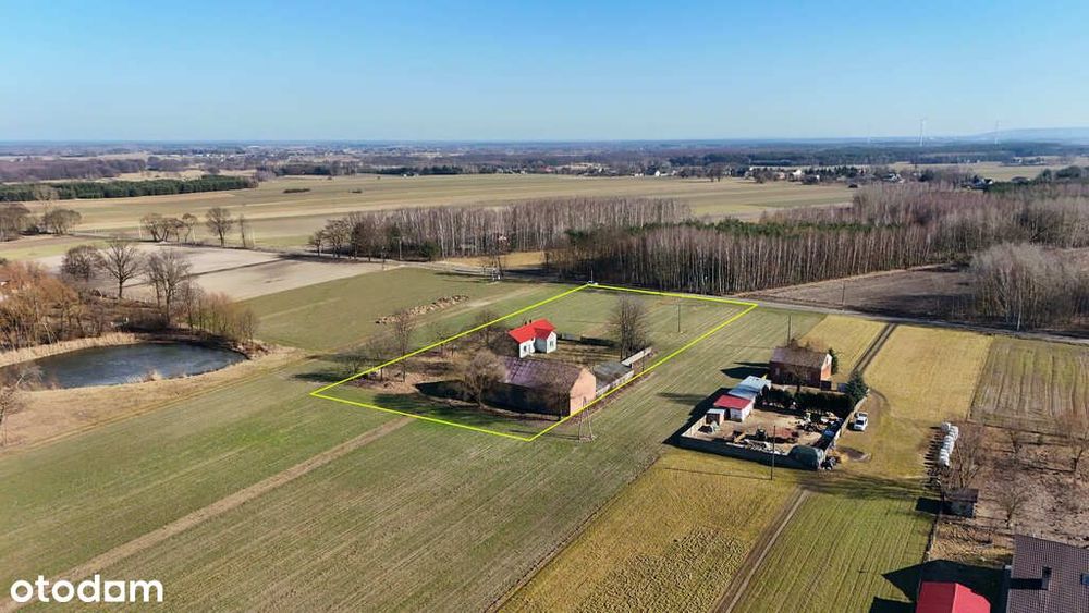 Dom 105 m² z działką 6000 m² – Piaski