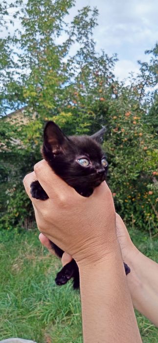 Энергичный мальчик около двух месяцев