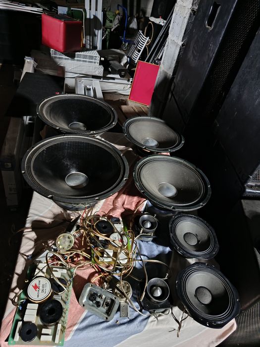 Głośniki 18" 15"  8" driver drivery IMG