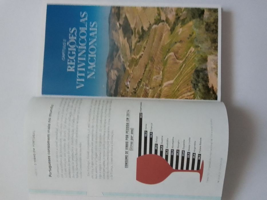 Guias de Vinhos 2012/2026