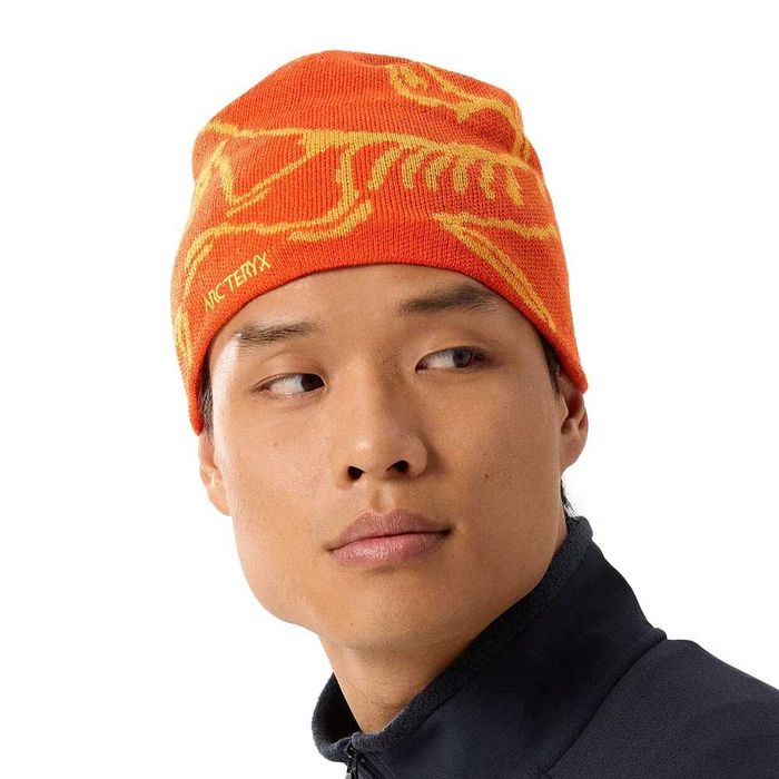 Шапка Arcteryx Bird Head Toque Solaris/Edziza