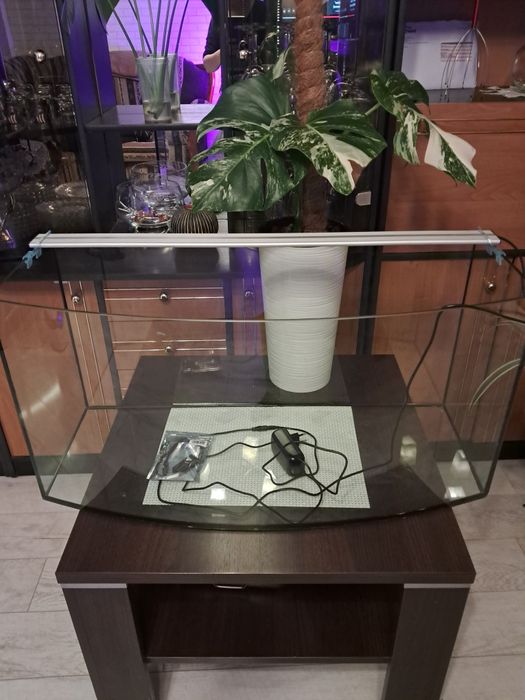 Akwarium panoramiczne