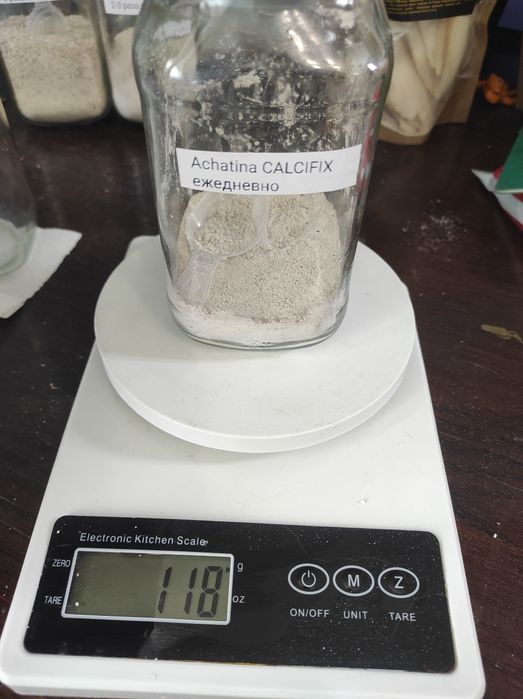 Сепия, корм для улиток ахатин, гигрометр, гаммарус