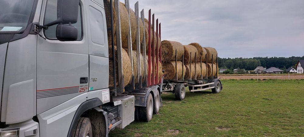 Usługi transportowe, transport drewna z lasu, Usługi HDS