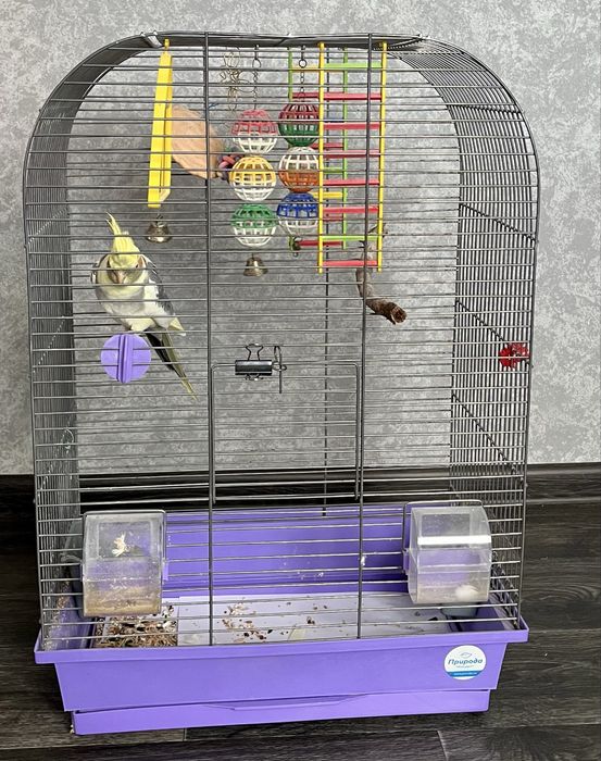 Большая коасивая клетка с игрушками