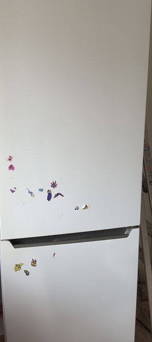 Frigorífico combinado Becken